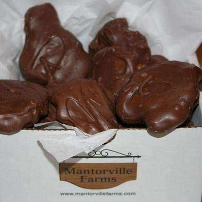 Caramel Pecan Clusters Covered in Chocolate with rich caramel, crunchy pecans, and dark chocolate coating